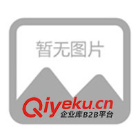 供應EL冷光線、冷電霓虹管、裝飾在車內部用(圖)